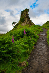 Isle of Skye, Scotland, Uk: view of the Fairy Glen, magic valley connected to ancient customs, children casted flowers petals in the burn to encourage fairies providing villages with fresh water
