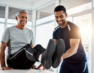 Physiotherapist doing exercise with patient