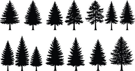 tree, silhouette, conifer, pine, fir, spruce, evergreen, forest, nature, vector, cad, drawing, flat, black, illustration