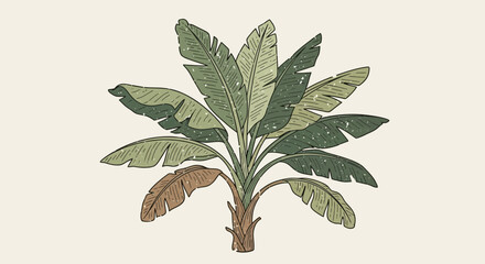 Stylized banana palm illustration with tropical vibes for creative use