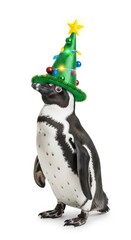 Fototapeta premium penguin wearing a Christmas tree hat, holiday animal graphic, on a white background