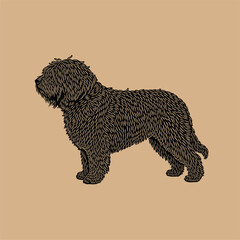 Stylized illustration of a fluffy dog standing proudly against a warm beige background