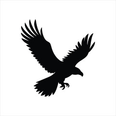 Majestic bald eagle soaring in the sky silhouette