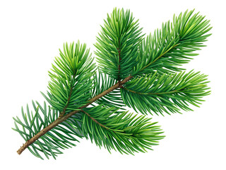 Obraz premium An evergreen tree branch, featuring bright green needles, is perfectly isolated on a transparent background, showcasing its natural beauty.