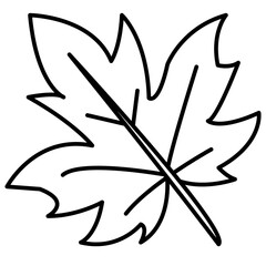 red autumn maple leaf vector illustration