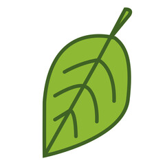 green leaf isolated on white background