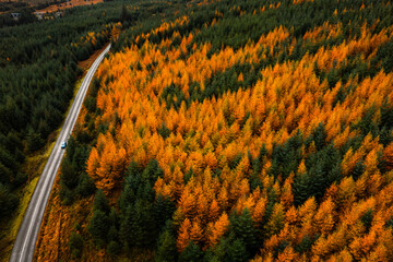 Scenic aerial view of a winding mountain road with cars surrounded by autumn forest colours in Wicklow, Ireland.