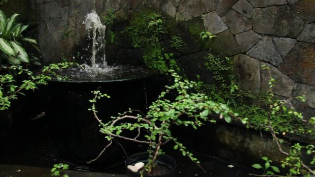 A tranquil garden scene with a small fountain, moss-covered stone wall, and surrounding greenery. Water flows gently amid the balance of stone, plant, and air.