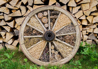 Insektenhotel in einem alten Wagenrad, steht aufrecht vor einem Holzstoß in einer Wiese