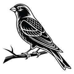 Fototapeta premium Detailed black and white woodcut illustration of a small songbird perched on a thin branch against a white background