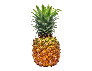 Fototapeta premium A whole ripe pineapple isolated on transparent background