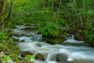 日本の青森の渓流　夏の奥入瀬渓流