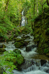 日本の青森の渓流　夏の奥入瀬渓流
