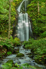 日本の青森の渓流　夏の奥入瀬渓流