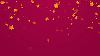 colorful autumn colorful leaves falling, leaf fall thanksgiving and Halloween celebration social media background	