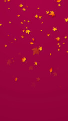 colorful autumn colorful leaves falling , leaf fall thanksgiving and Halloween celebration vertical social media background	