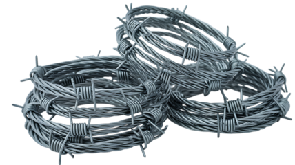 Barbed Wire Protects Rural Boundaries