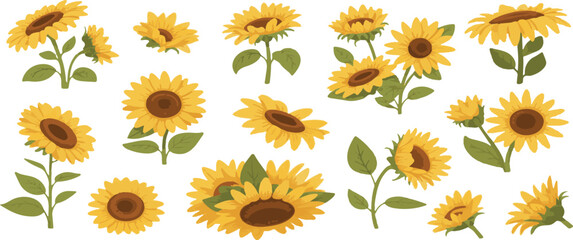 set of sunflowers