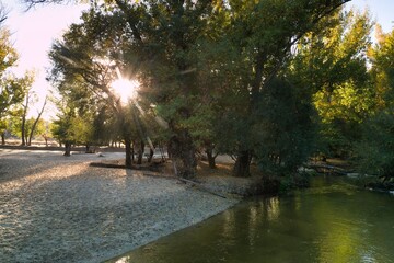Sunlight filters through trees along a tranquil riverbank at dusk during autumn