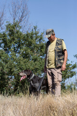 A hunter with a gun and his pet dogs. A spaniel and a german wirehaired pointer drathaar in search of a pheasant.