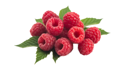 Raspberry plants need regular watering