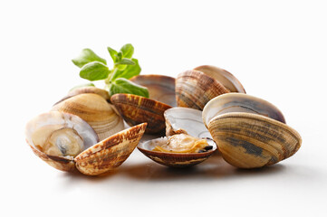 venus Muscheln, Kraut,weiss,niemand, food,vongole © Kai