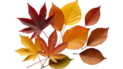 autumn leaves whisper of change