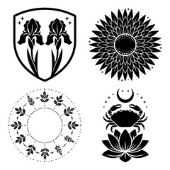 Collection of four celestial and botanical illustrations