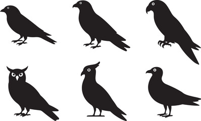 Six black silhouette icons of different bird species including owl eagle parrot pigeon