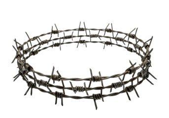 Barbed wire crown isolated PNG, sharp metal fence element on transparent background, dangerous security barrier for graphic design