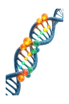 Locus control region displaying clusters of hypersensitive sites.