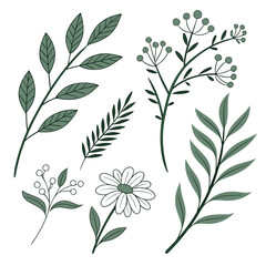 Set of natural and floral elements for graphic and web design. Vector illustrations for natural and organic products, beauty, fashion, spa and wellness, wedding and events, environment