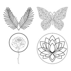 Botanical line art collection featuring butterfly, lotus, and fern