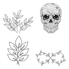 Collection of line art drawings of plants and skull