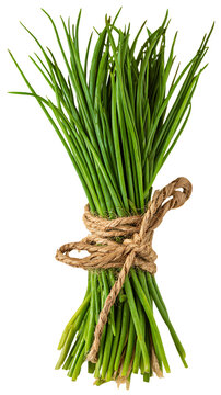 Bunch of chives tied with twine isolated on transparent background, a culinary delight