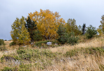 A fairy-tale autumn forest in a colorful outfit during the seasonal period of the year in the foothill area