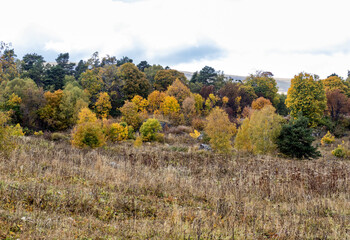 A fairy-tale autumn forest in a colorful outfit during the seasonal period of the year in the foothill area