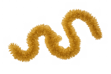 Golden christmas tinsel garland displaying festive holiday decoration for celebrating new year and winter season on transparent background