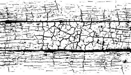 Abstract black and white closeup of weathered wood with radial cracks texture. Black and white wood cracks texture on a transparent background.