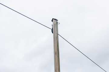A tall wooden pole with a black box on top of it