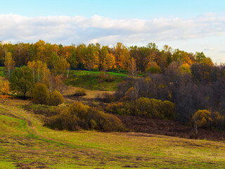 beautiful view of hills and trees in the forest in autumn