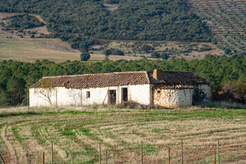 Un paisaje casa de labranza con un barbecho es un espacio de reposo y regeneraci&oacute;n, Aunque pueda parecer abandonado, guarda una riqueza silenciosa que conecta con la historia agr&iacute;cola y ecologica,