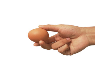 Eggshell on hand, isolated on PNG background.