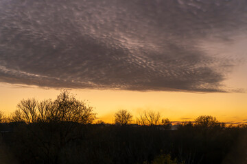 Cloudy sky above sunset horizon with silhouettes of trees. Outdoor landscape photography. Evening sky and weather concept.