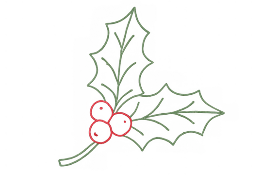Holly leaves and red berries vector outline drawing for christmas and winter season decor, transparent background - Powered by Adobe