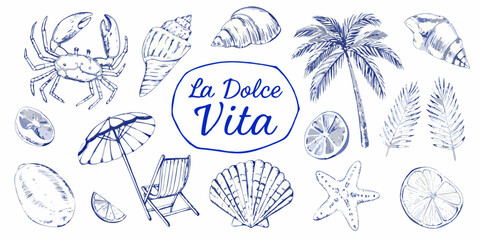La dolce vita collection featuring beach elements crab seashells palm tree citrus and beach chair
