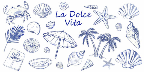 La dolce vita collection of summer beach vacation elements with palm trees and seashells