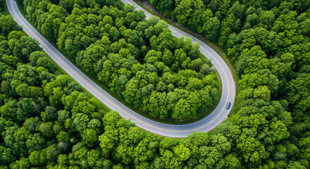 Aerial view of a winding road through a lush green forest