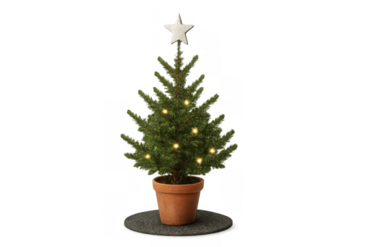Potted live fir tree celebrating winter holidays with twinkling lights and a star on top, transparent background isolating subject