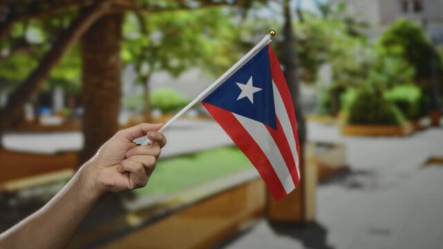 Caucasian male holding puerto rican flag in sunny outdoor park, capturing national pride and celebration under a clear blue sky.